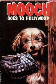 Edition cover