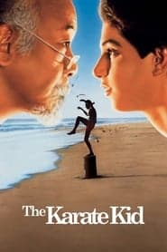 The Karate Kid/The Karate Kid 2/The Karate Kid 3/Next Karate Kid