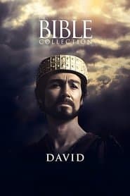 The Bible: Complete Collection