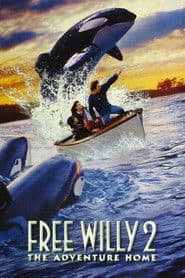 4 Film Favorites: Free Willy Collection