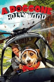 Edition cover