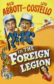 Abbott & Costello: The Complete Universal Pictures Collection (DVD Set) [DVD]