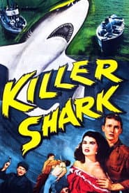 Edition cover