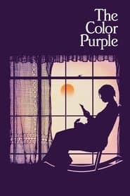 Edition cover