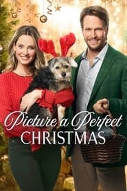 Hallmark Xmas 11: Christmas At Dollywood / Time For You To Come Home For Christmas / Picture A Perfect Christmas [NTSC/0]