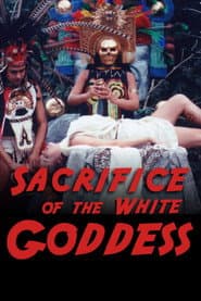 White Slave Collection