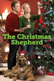 Hallmark Christmas Collection 1: Magic Stocking / The ChristmasShepherd / Dashing Through The Snow [NTSC/0]