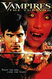 Horror 20 Movie Collection
