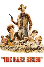 Edition cover