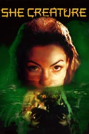 Horror 20 Movie Collection
