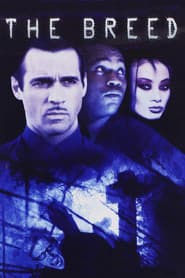 Horror 20 Movie Collection