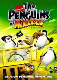 Edition cover