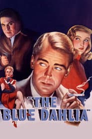 Edition cover