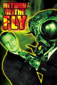 The Fly Collection
