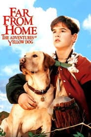 Edition cover