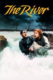 Edition cover