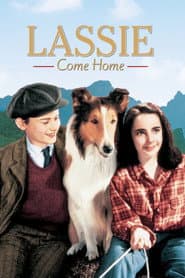 Edition cover