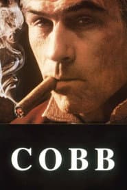 4 Film Favorites: Tommy Lee Jones Collection (DVD Set) [DVD]