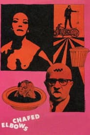 Up All Night With Robert Downey, Sr. (Criterion Collection - Eclipse Series 33)