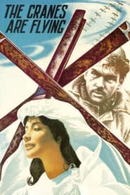 Edition cover