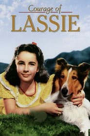 Lassie Collection
