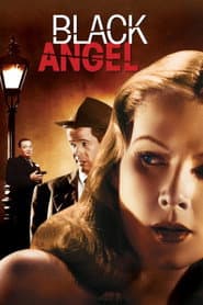 Film Noir 10-Movie Spotlight Collection (Box Set) [DVD]