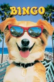 Hollywood Hounds/Chilly Dogs/T