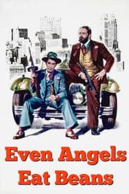 Bud Spencer & Terence Hill  Collection Box - 16 Dvd [EU Import]