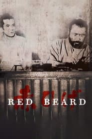 Edition cover