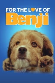 Benji: Ultimate Boxset