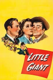 Abbott & Costello: The Complete Universal Pictures Collection (DVD Set) [DVD]