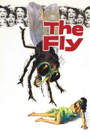 The Fly Collection