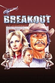 Charles Bronson: 4 Movie Collection