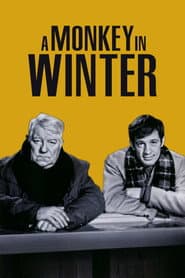 Jean-Paul Belmondo Collection