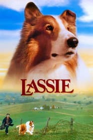 Edition cover