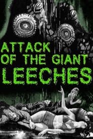 Edition cover