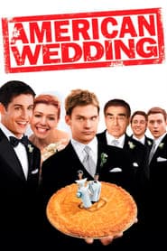 American Pie 9-movie Collection [DVD]