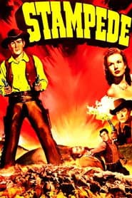 10-Film Western Collection