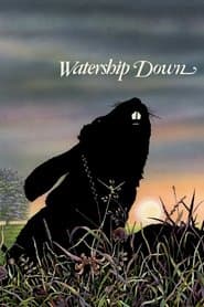 Edition cover