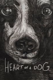 Edition cover