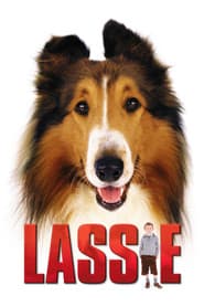 Dogs 10-Movie Adventure Collection (DVD Set) [DVD]