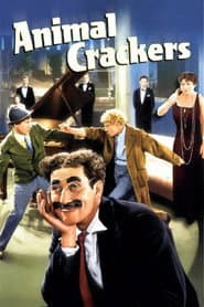 The Marx Brothers Silver Screen Collection (DVD Set) [DVD]