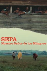Edition cover