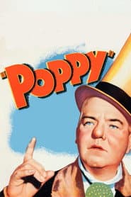 W.C. Fields Comedy Favorites Collection (2013) (Box Set) [DVD]