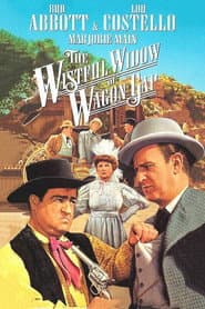 Abbott & Costello: The Complete Universal Pictures Collection (DVD Set) [DVD]
