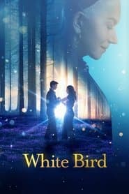Edition cover