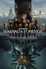 Black Panther - Wakanda Forever - 4K (Bd 4K + Bd Hd) Wakanda + Poster