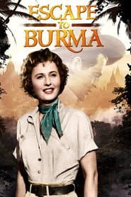 Edition cover