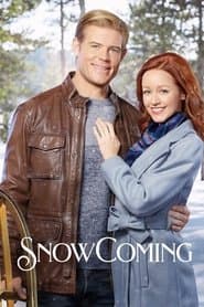Hallmark Channel Original Movies 15: Snowcoming / Winter Princess / Hearts Of Winter [NTSC/0]