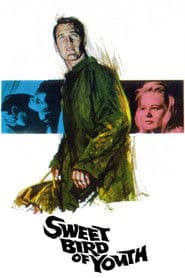 Edition cover